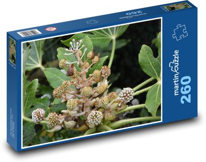 Rastliny - zelené kvety, záhrada - Puzzle 260 dielikov, rozmer 41x28,7 cm