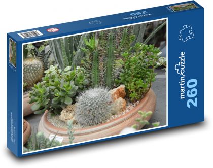 Cacti - plants, garden - Puzzle 260 pieces, size 41x28.7 cm 