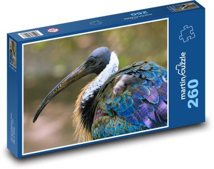 Ibis - bird, zoo - Puzzle 260 pieces, size 41x28.7 cm 