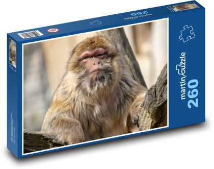 Makak - opice, zvíře - Puzzle 260 dílků, rozměr 41x28,7 cm