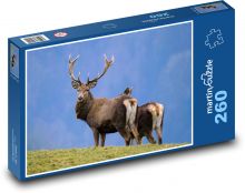 Hirsch - Geweih, Wildtiere Puzzle 260 Teile - 41 x28,7 cm