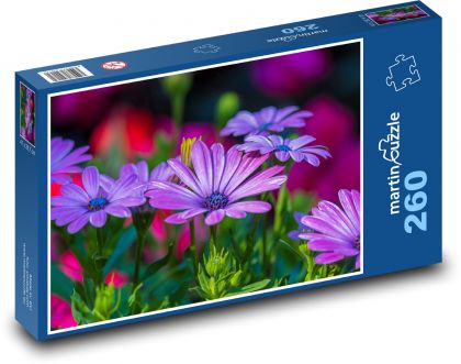 Kopretina - kvetina, záhrada - Puzzle 260 dielikov, rozmer 41x28,7 cm
