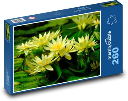 Water lily - yellow flower, pond - Puzzle 260 pieces, size 41x28.7 cm 