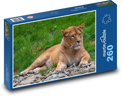 Levice - zviera, dravec - Puzzle 260 dielikov, rozmer 41x28,7 cm