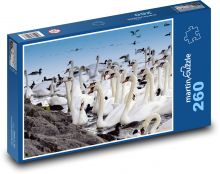 Labutě - zvíře, rybník Puzzle 260 dílků - 41 x 28,7 cm