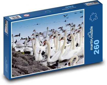 Labutě - zvíře, rybník - Puzzle 260 dílků, rozměr 41x28,7 cm