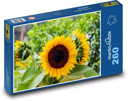 Sonnenblume - gelbe Blume, Sommer - Puzzle - 260 Teile