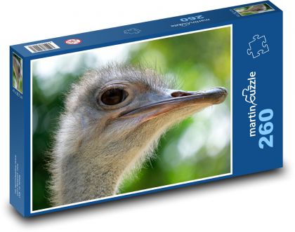 Pštros - emu, pták - Puzzle 260 dílků, rozměr 41x28,7 cm