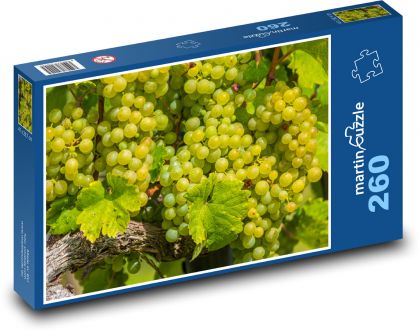Hrozno - vínna réva, ovocie - Puzzle 260 dielikov, rozmer 41x28,7 cm