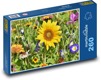 Slunečnice - květiny, záhon - Puzzle 260 dílků, rozměr 41x28,7 cm
