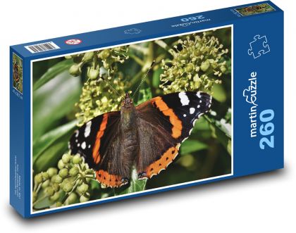 Motýl - hmyz, křídla motýlí - Puzzle 260 dílků, rozměr 41x28,7 cm