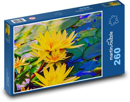 Leknín - žlutý květ, rybník - Puzzle 260 dílků, rozměr 41x28,7 cm