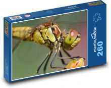 Vážka - křídla vážka, hmyz Puzzle 260 dílků - 41 x 28,7 cm