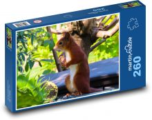 Eichhörnchen - Wald, Tier Puzzle 260 Teile - 41 x28,7 cm