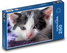 Kot - kotek, zwierzak Puzzle 260 elementów - 41x28,7 cm