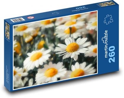 Gänseblümchen - Blütenblätter, Garten - Puzzle - 260 Teile