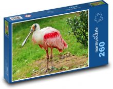 Kolpík - vodní pták, zoo Puzzle 260 dílků - 41 x 28,7 cm