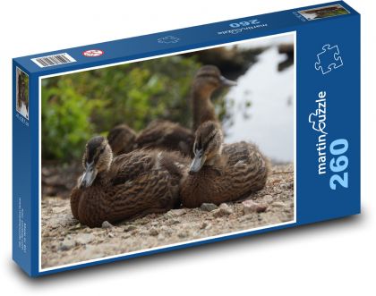 Krzyżówki - ptak wodny - Puzzle 260 elementów, rozmiar 41x28,7 cm
