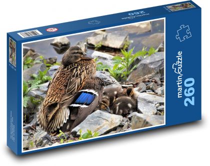 Duck - ducklings, chicks - Puzzle 260 pieces, size 41x28.7 cm 