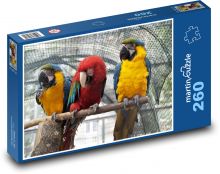 Papugi - Ara, ptaki Puzzle 260 elementów - 41x28,7 cm