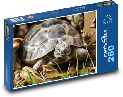Korytnačka - plaz, pancier - Puzzle 260 dielikov, rozmer 41x28,7 cm