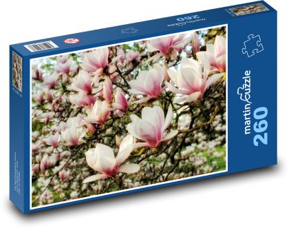 Magnolia - kwiat, krzew - Puzzle 260 elementów, rozmiar 41x28,7 cm