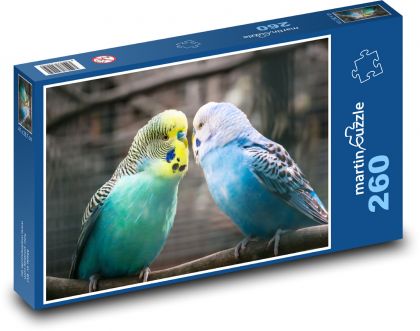 Wellensittich - Vögel, Liebe - Puzzle - 260 Teile