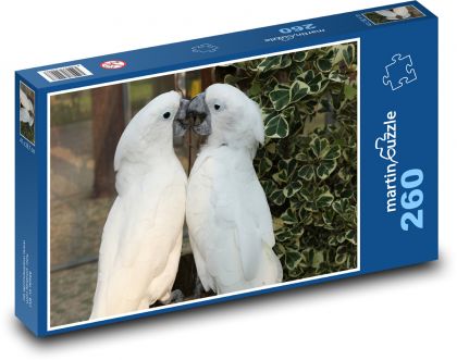 Papagáj - biely vták - Puzzle 260 dielikov, rozmer 41x28,7 cm