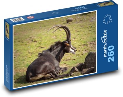 Antilopa - divoká zvěř - Puzzle 260 dílků, rozměr 41x28,7 cm