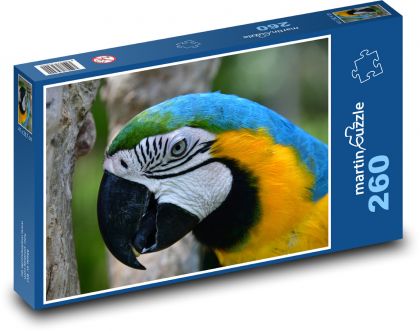 Papoušek - ara, pták - Puzzle 260 dílků, rozměr 41x28,7 cm