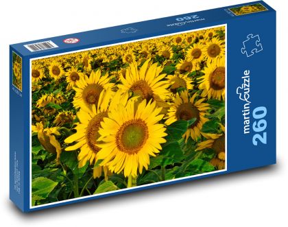 Slunečnice - léto, pole - Puzzle 260 dílků, rozměr 41x28,7 cm