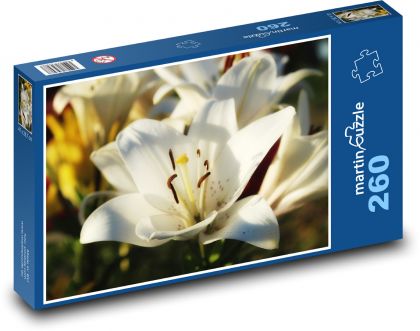 Bílá lilie - květina, zahrada - Puzzle 260 dílků, rozměr 41x28,7 cm