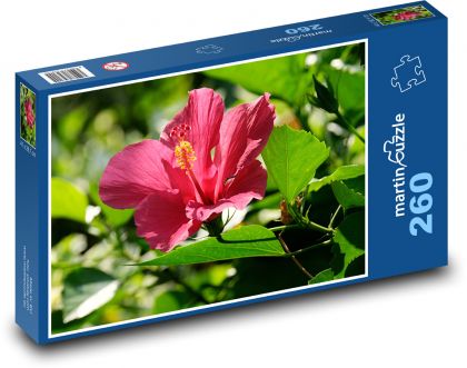 Ibišek - červený květ, zahrada - Puzzle 260 dílků, rozměr 41x28,7 cm