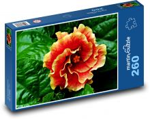 Ibištek - oranžový kvet, kvetina Puzzle 260 dielikov - 41 x 28,7 cm