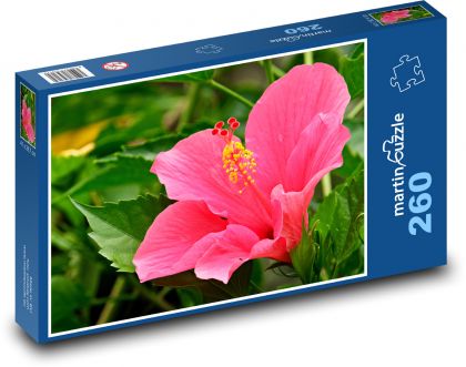 Hibiscus - pink flower, garden - Puzzle 260 pieces, size 41x28.7 cm 