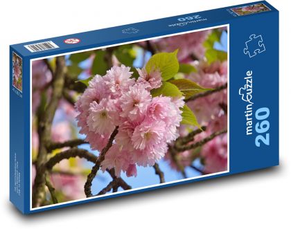 Kirschblüte - Frühling, Park - Puzzle - 260 Teile