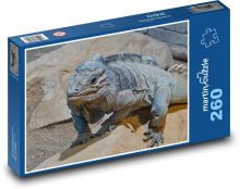 Leguán - ještěrka, plaz Puzzle 260 dílků - 41 x 28,7 cm