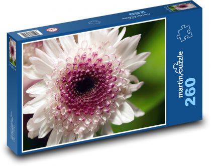Chrysantheme - Blume, weiße Blume - Puzzle - 260 Teile