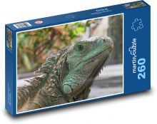 Zelený leguán - ještěrka, plaz Puzzle 260 dílků - 41 x 28,7 cm