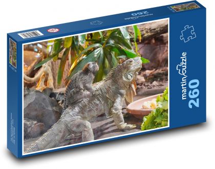 Monkey - iguana, reptile - Puzzle 260 pieces, size 41x28.7 cm 