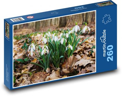 Przebiśniegi - las, wiosna - Puzzle 260 elementów, rozmiar 41x28,7 cm