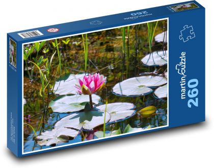Leknín - rybník, vodní květ - Puzzle 260 dílků, rozměr 41x28,7 cm
