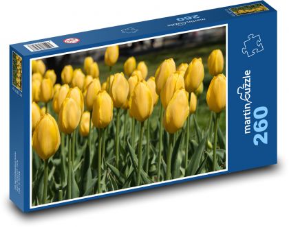 Yellow Tulips - Spring Flowers, Garden - Puzzle 260 pieces, size 41x28.7 cm 