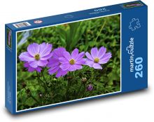 Sasanka - zahrada, květ Puzzle 260 dílků - 41 x 28,7 cm