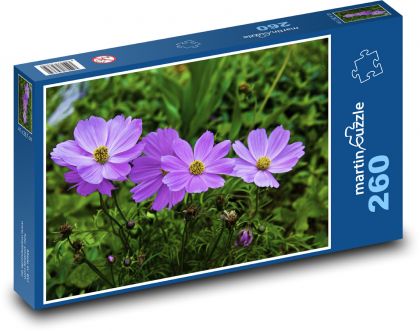 Sasanka - zahrada, květ - Puzzle 260 dílků, rozměr 41x28,7 cm