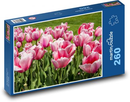 Růžové květy - tulipány, zahrada - Puzzle 260 dílků, rozměr 41x28,7 cm