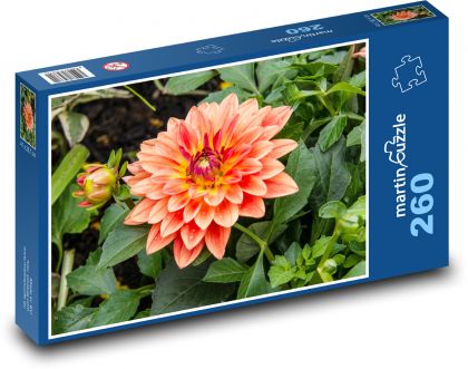 Jiřina - oranžový květ, zahrada - puzzle 260 dílků