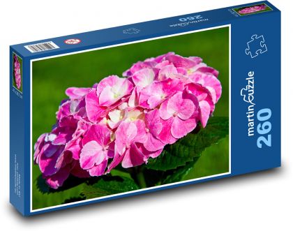 Hortensja różowa - kwiat, wiosna - Puzzle 260 elementów, rozmiar 41x28,7 cm