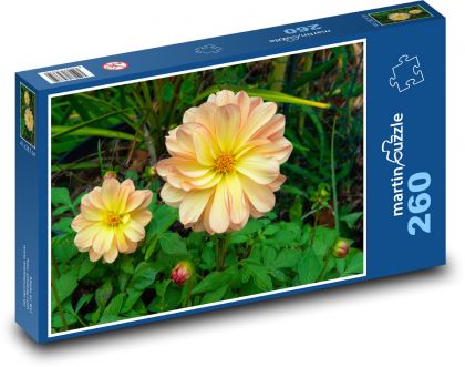 Jiřina - květ, zahrada - Puzzle 260 dílků, rozměr 41x28,7 cm