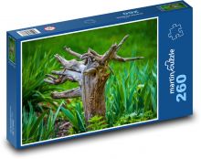 Roots - tree, meadow Puzzle 260 pieces - 41 x 28.7 cm 